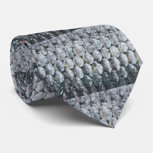 Kleine zalmschalen stropdas (Opgerold)