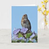 Kleine zangvogel-wenskaart kaart (Gele Bloem)