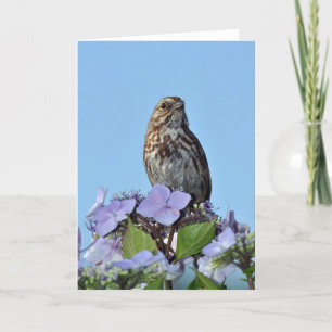 Kleine zangvogel-wenskaart kaart
