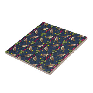 Kleine Zangvogels Tegeltje