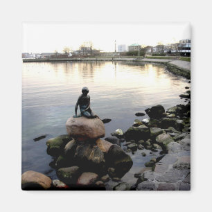 Kleine zeemeermin magneet