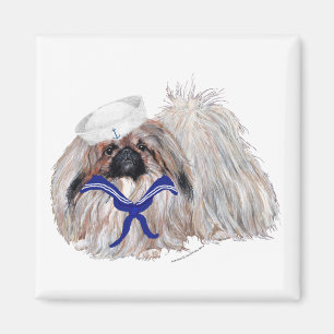 Kleine Zeiler Pekingees Magneet