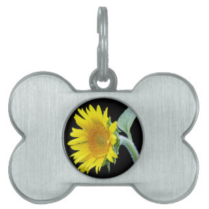 Kleine zonnebloem huisdieren naamplaatje