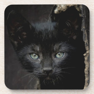 Kleine zwarte Kat Bier Onderzetter