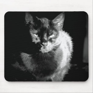Kleine zwarte kat muismat