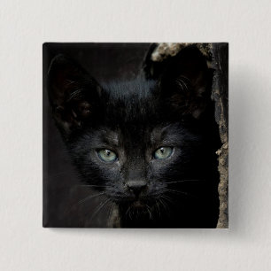 Kleine zwarte Kat Vierkante Button 5,1 Cm