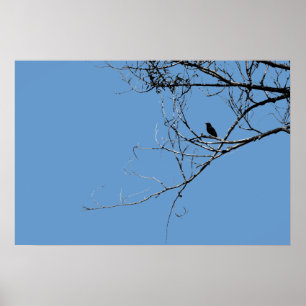 Kleine zwarte Poster