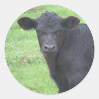 Kleine zwarte stip ronde sticker