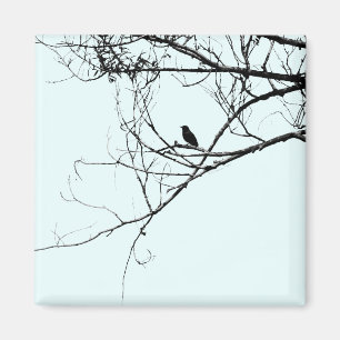 Kleine Zwarte Vogelmagneet Magneet
