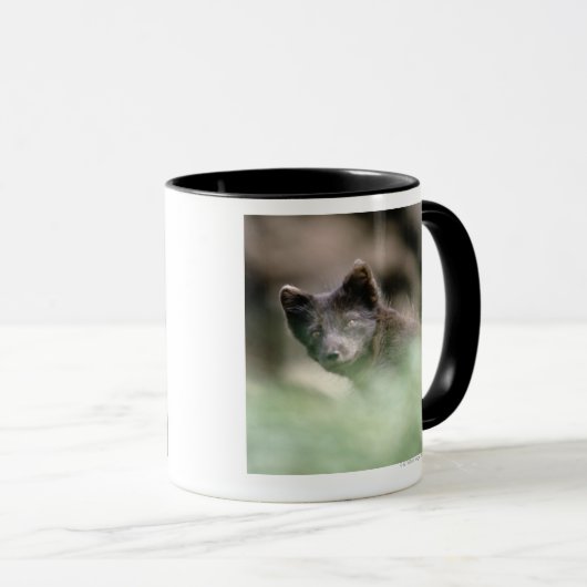 Kleine zwarte wolf mok (Voorkant rechts)