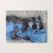 Kleiner Waschbär Legpuzzel (Horizontaal)