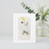 Kleinere zwavelcreste cockatoo briefkaart (Staand voorkant)