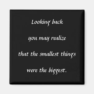 Kleinste dingen magneet