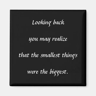 Kleinste dingen magneet