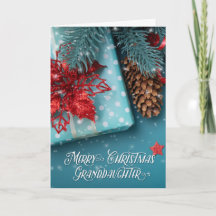 Kleinzoon Prettig Kerstfeest Blauw en Rood