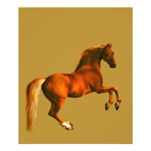 Kleinzoon van de Godolphin Arabian Foto Afdruk