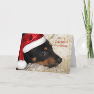 Kleinzoon van Kerstmis van de tekkel de Vrolijke Feestdagen Kaart