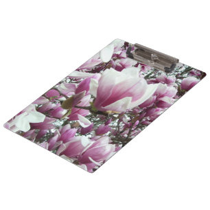 Klembord - de Magnolia van de Schotel