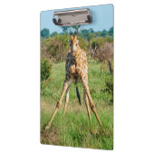 Klembord Giraffe (Links)