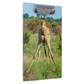 Klembord Giraffe (Rechts)