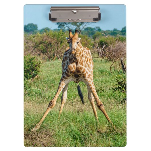 Klembord Giraffe (Voorkant)