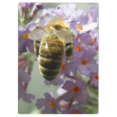 Klembord Honeybee en Buddleia Flowers (Achterkant)