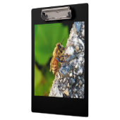 klembord voor bijen (Links)