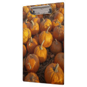 Klembord voor pompoenpleister (Links)