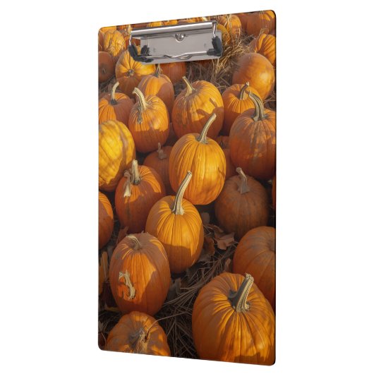 Klembord voor pompoenpleister (Links)