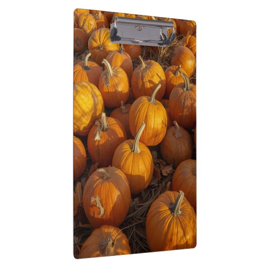 Klembord voor pompoenpleister (Rechts)