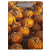 Klembord voor pompoenpleister (Voorkant)