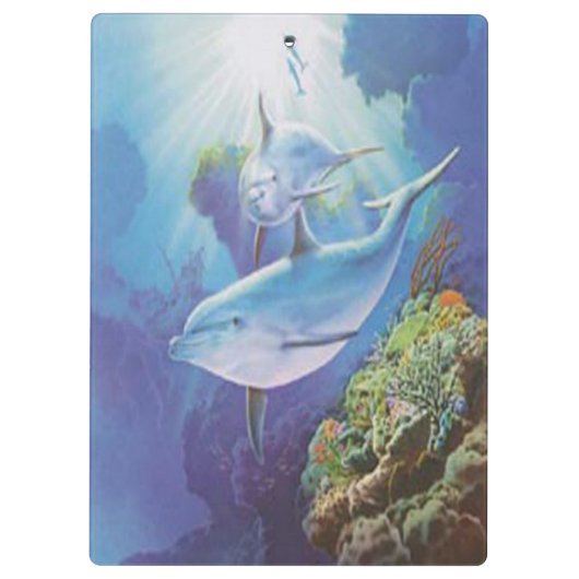 Klembord voor waterdolfijnen (Achterkant)