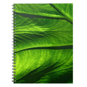 Klepfoto van groen blad notitieboek