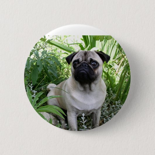 kletspraat ronde button 5,7 cm (Voorkant)