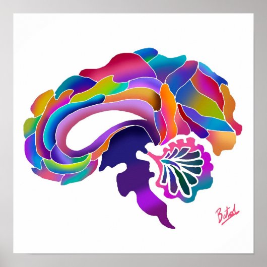 Kleur Blend Brain 2 Poster (Voorkant)