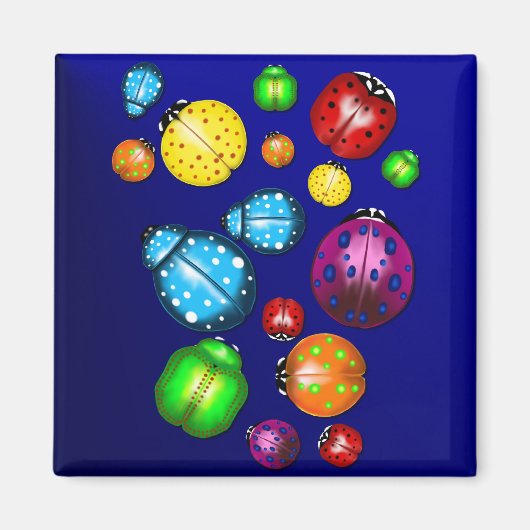 Kleur Bug Kussen Magneet (Voorkant)