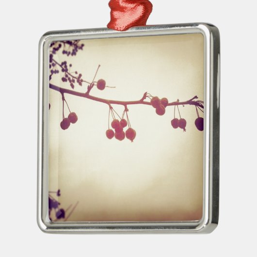 Kleur in een droeve winterdag metalen ornament (Links)