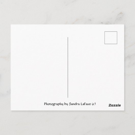 Kleur in je leven Postcrossing Briefkaart (Achterkant)