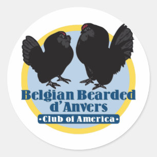 Kleur Logo Sticker