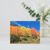 Kleur op de berg briefkaart (Staand voorkant)