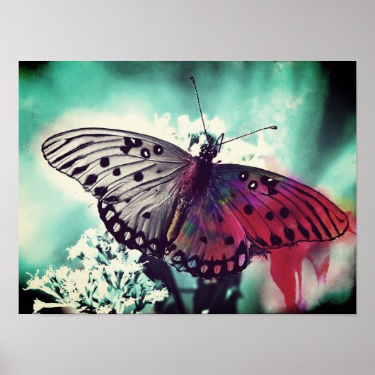 Kleur Poster (Voorkant)