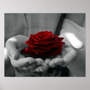 Kleur Splash Red Rose Poster