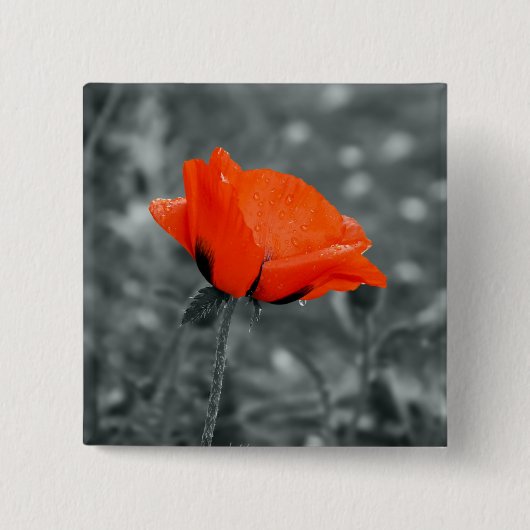 Kleur toets knop vierkante button 5,1 cm (Voorkant)