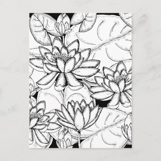 Kleur uw eigen Lotus Flowers Briefkaart (Voorkant)