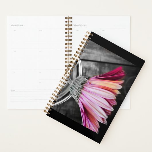 Kleur uw jaarplank planner (Display)