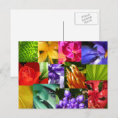 Kleur Uw Wereld Briefkaart (Voorkant / Achterkant)