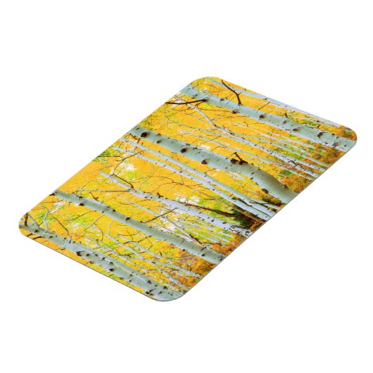 Kleur van de Aspen-bomen 1 Magneet (Linkerzijde)