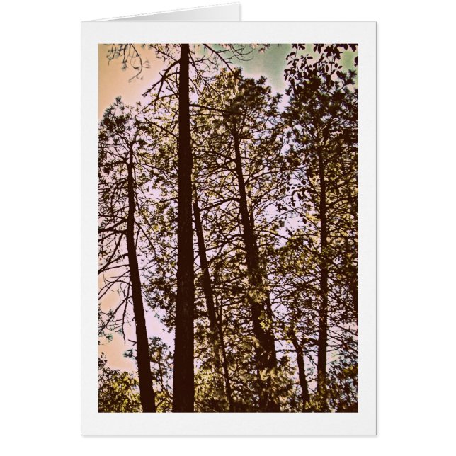 kleur van de bomen (Voorkant)