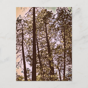 kleur van de bomen briefkaart