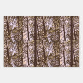 Kleur van de bomen inpakpapier vel (Voorkant)